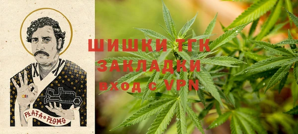 спайс Арсеньев