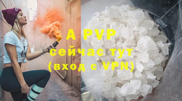 спайс Арсеньев