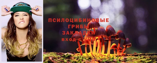 спайс Арсеньев
